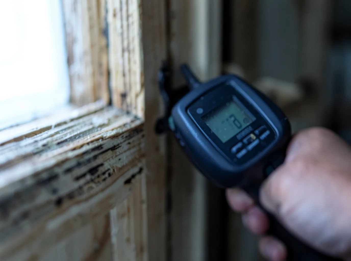 Moisture Inspection And Documentation in Tsaile, AZ